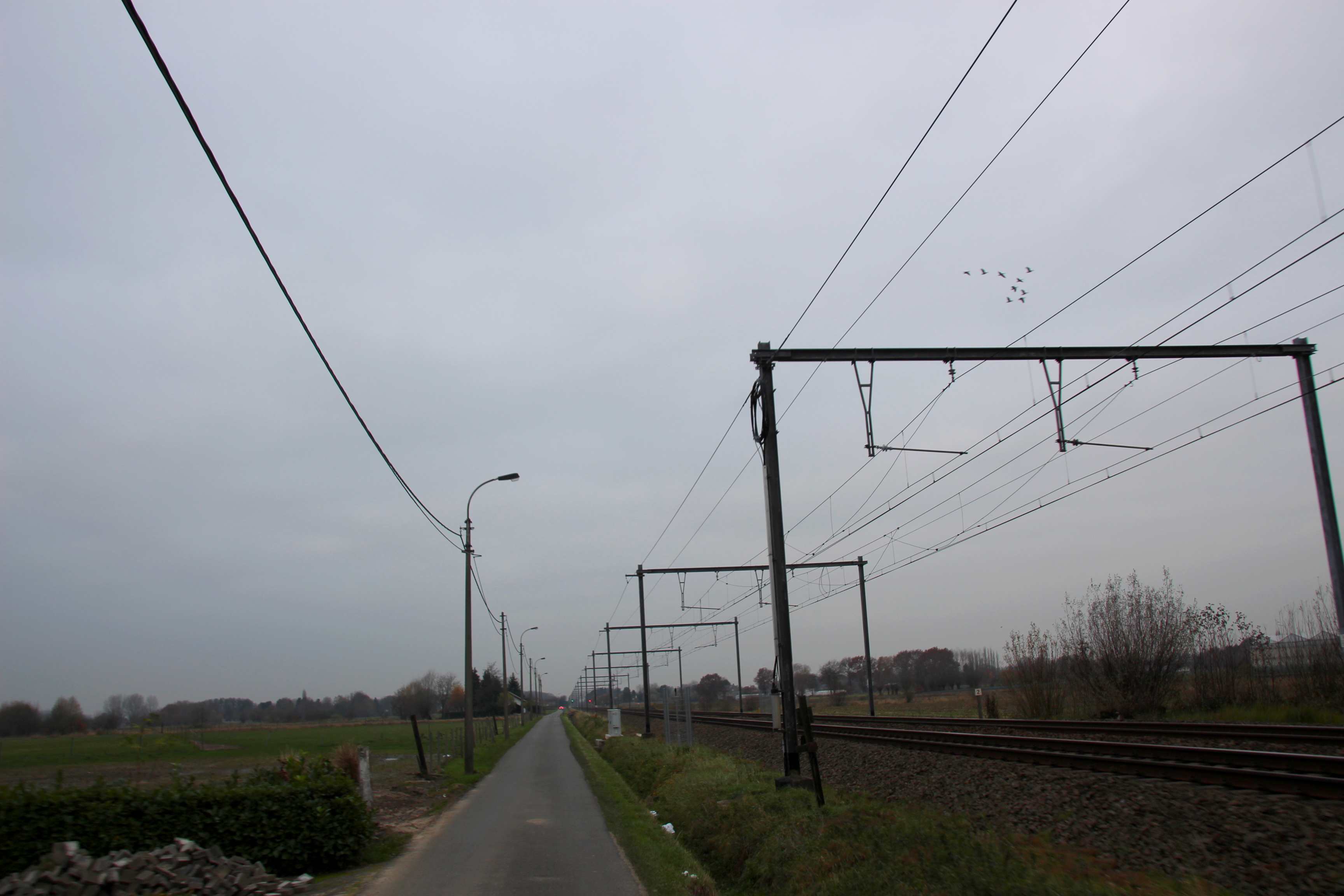 26nov16, Langs de spoorweg, Sint-Martens-Latem